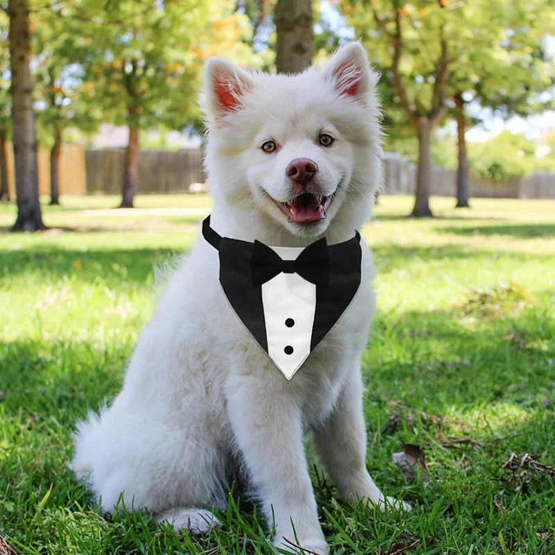 Bow Tie Dog Collar Tuxedo Bandana