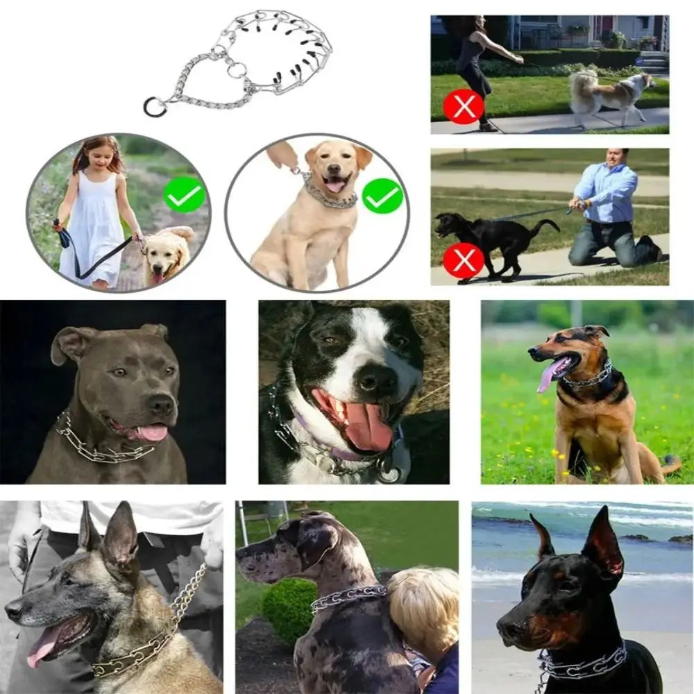 Adjustable No-Pull Dog Training Collar