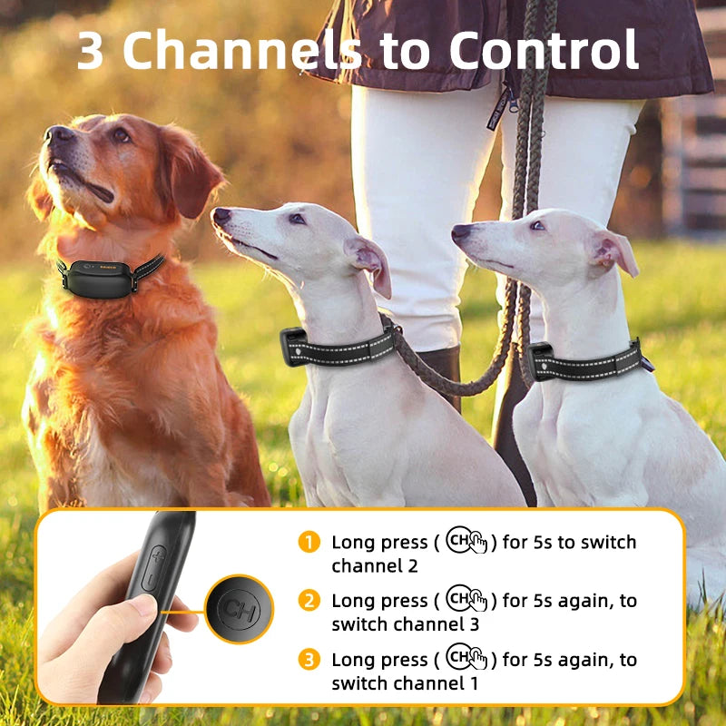 Remote Dog Training Collar- ROJECO