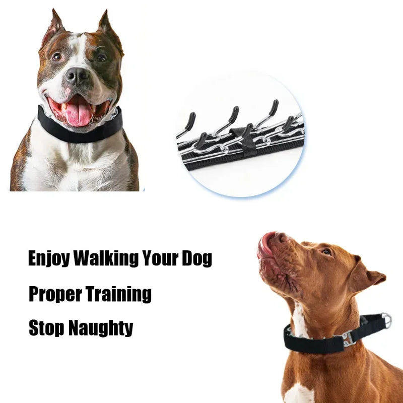 Dog Training Prong Collar Quick Release