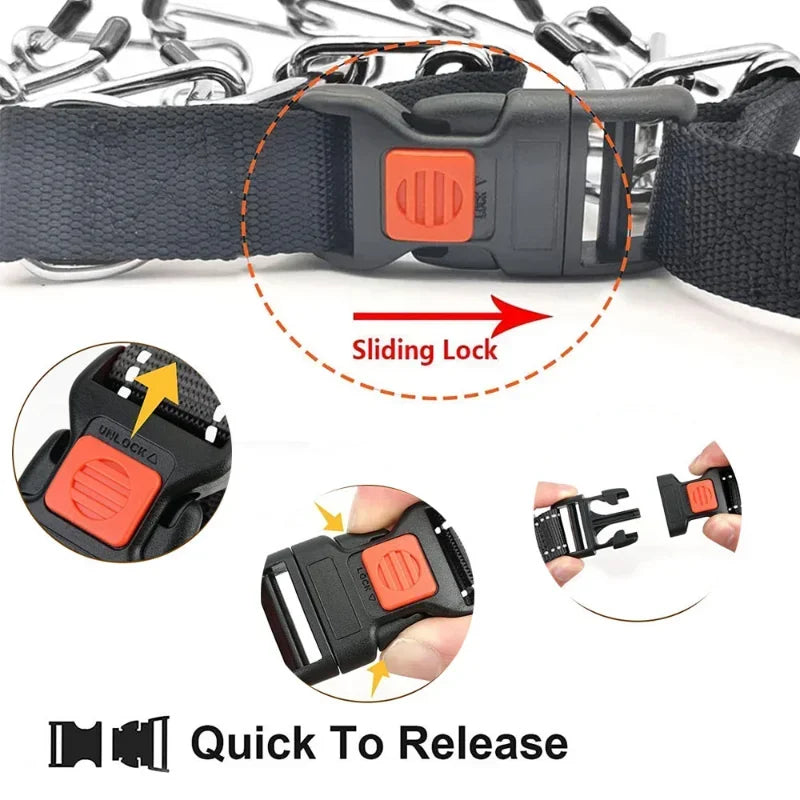 Dog Training Prong Collar Quick Release